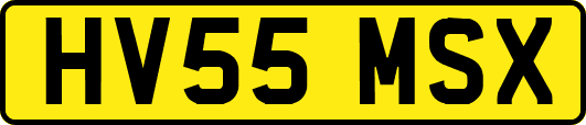 HV55MSX