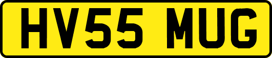 HV55MUG