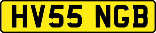 HV55NGB