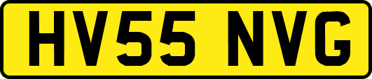 HV55NVG