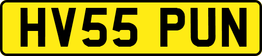 HV55PUN