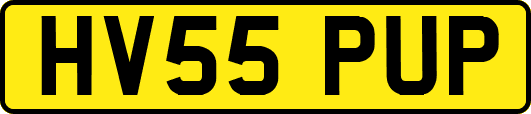 HV55PUP