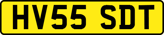 HV55SDT