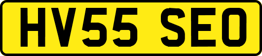 HV55SEO