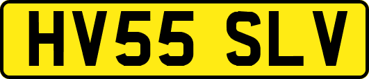HV55SLV