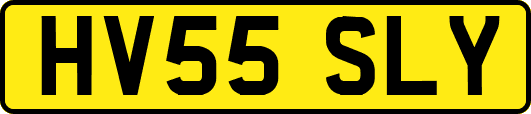 HV55SLY