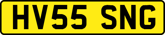 HV55SNG
