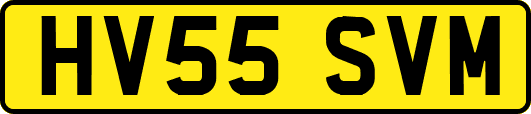 HV55SVM