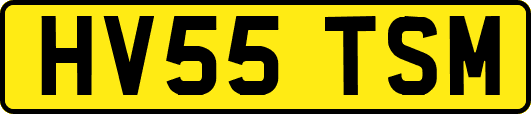 HV55TSM