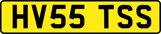 HV55TSS