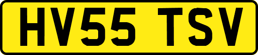 HV55TSV