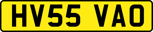 HV55VAO