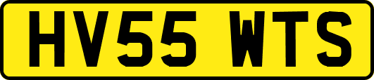 HV55WTS