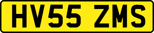 HV55ZMS