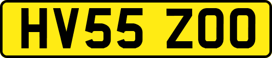 HV55ZOO