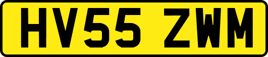 HV55ZWM