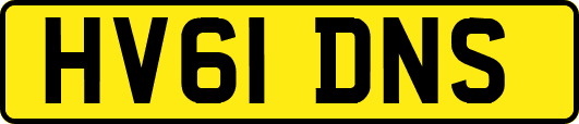 HV61DNS