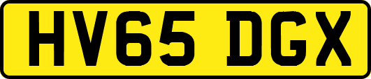 HV65DGX