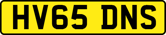 HV65DNS