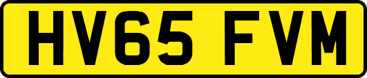 HV65FVM