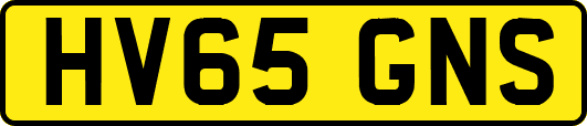 HV65GNS
