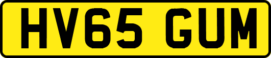 HV65GUM