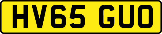 HV65GUO