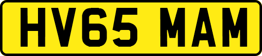HV65MAM