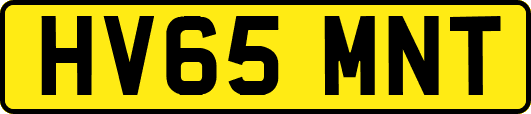 HV65MNT