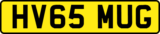 HV65MUG