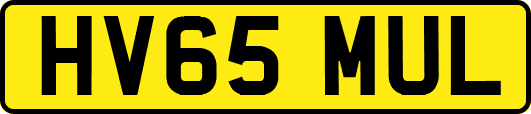 HV65MUL
