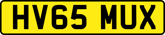 HV65MUX