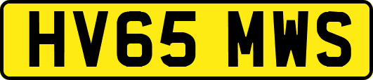HV65MWS