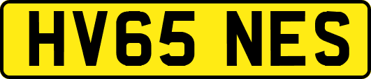 HV65NES