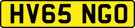HV65NGO