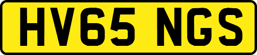 HV65NGS