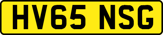 HV65NSG