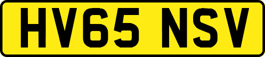 HV65NSV