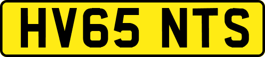 HV65NTS