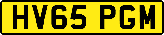 HV65PGM