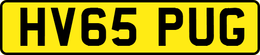 HV65PUG