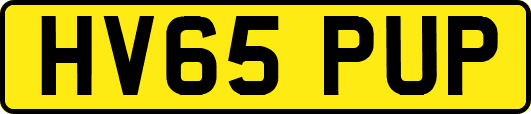 HV65PUP