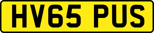 HV65PUS