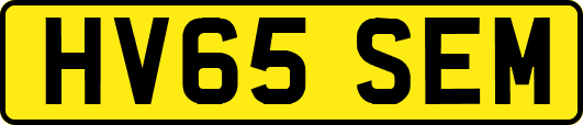 HV65SEM