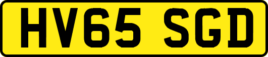 HV65SGD