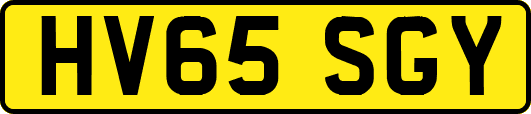 HV65SGY