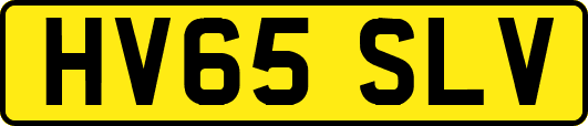 HV65SLV