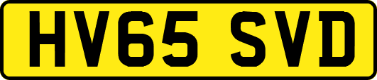 HV65SVD