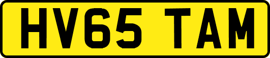 HV65TAM