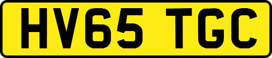 HV65TGC